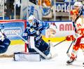 Archivbild: Elke Englmaier
Goalie Felix Noack fehlt den Blue Devils Weiden verletzungsbedingt.