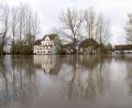 Bild: Pia Bayer/dpa
Dauerregen und Schneeschmelze sorgen vielerorts für Überflutungen, wie etwa hier an der Aisch.