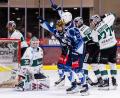 Bild: Werner Moller
Jubel bei Alex-Oliver Voyer und Luca Gläser (blaue Trikots) nach einem Treffer gegen die Bietigheim Steelers am vergangenen Sonntag. Vor den Duellen gegen Düsseldorf und Crimmitschau liegt nun die erste volle Trainingswoche unter Chefcoach Alan Letang hinter den Devils.
