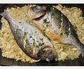 Bild: Michael Schiffer
Die Goldbrasse wird auf dem geschnittenen Fenchel im Backofen gegart.