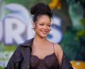 Bild: Jordan Strauss/Invision/AP/dpa
Popstar Rihanna hat sich auf Instagram in einem Tonstudio gezeigt und damit bei ihren Fans Spekulationen über ein neues Album angeheizt. (Archivbild)