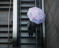 Bild: Christoph Schmidt/dpa
Eine Frau fährt mit ihrem Regenschirm eine Rolltreppe hinauf. Das Wetter soll in der Region Stuttgart in den nächsten Tagen wechselhaft bleiben.