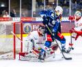 Bild: Tobias Neubert
Der Bad Nauheimer Goalie Jerry Kuhn (links) stellt die Blue Devils Weiden in der Play-down-Serie bislang vor große Probleme. Mittlerweile steht es 2:0 für die Hessen – war es das für die Weidener?