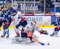 Bild: Tobias Neubert
Der EHC Freiburg (weiße Trikots) hat die Play-down-Serie mit 4:0 gegen Kaufbeuren gewonnen und bleibt damit zweitklassig.