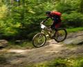 Bild: Archiv/Redaktion
Ein Mountainbiker am Südhang des Ochsenkopfes bei einem Enduro-Rennen. Hier sollen bald mehr Mountainbiker auf mehr Strecken unterwegs sein.
