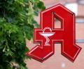 Bild: Sven Hoppe/dpa
Viele Apotheken in Bayern bleiben aus Protest am Montag geschlossen. (Symbolbild)