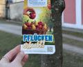 Bild: ILE-Region Vierstädtedreieck im Oberpfälzer Hügelland e.V.
Derzeit werden die kommunalen Streuobst Bestände für das Erntejahr 2026 markiert. Für diese gilt: Nur Bäume mit gelbem Band sind zur Ernte freigegeben.
