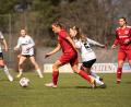 Archivbild: Hannah Dirscherl
Nadja Helleder (Mitte) und der TSV Theuern haben das Abstiegsduell gegen Bad Aibling mit 0:3 verloren.