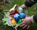 Bild: Hendrik Schmidt/dpa
Schoko-Osterhasen sind ein beliebtes Geschenk zum Osterfest. (Archivbild)