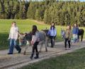 Bild: Elisabeth Pirner
Entschleunigung und die freundliche Art der Esel würden die Esel-Touren besonders machen, sagt Eselhof-Chefin Elisabeth Pirner. Die Tiere sind für den Umgang mit Kindern ausgebildet – passieren könne da nichts.