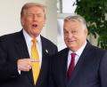 Bild: Evan Vucci/AP/dpa
Trump betont bei Treffen immer sein gutes Verhältnis zu Orban. (Archivbild)