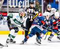 Archivbild: Elke Englmaier
Tyler McNeely (links) fungiert nach der Entlassung Dücks als Interimstrainer der Bietigheim Steelers.
