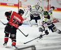 Bild: Federico Gambarini/dpa
Die Eisbären Berlin lieferten sich mit den Kölner Haien einen richtigen Playoff-Fight.