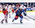 Archivbild: Tobias Neubert
Im Duell mit seinem neuen Arbeitgeber: Tyler Ward wechselt aus Weiden zu den Eisbären Regensburg.