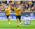 Bild: Robert Michael/dpa
Jason Ceka von Dynamo Dresden erzielte gegen Bochum den 1:0-Führungstreffer.