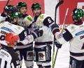 Bild: Federico Gambarini/dpa
Die Eisbären Berlin stehen erneut im DEL-Finale.