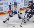 Bild: Andreas Gora/dpa
Marcel Brandt (l.) trägt auch künftig das Trikot der Straubing Tigers. (Archivbild)