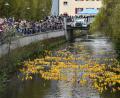 Bild: Petra Hartl
Entenrennen Amberg 2023 Plastikenten in der Vils