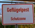 Symbolbild: Patrick Pleul/dpa-Zentralbild/dpa
Die Maßnahmen mit Schutz- und Überwachungszone nach einem Ausbruch der Vogelgrippe im Landkreis Schwandorf gelten mindestens bis 21. Mai.