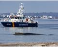 Bild: Ulrich Perrey/dpa
Ein Wal ist an der Ostseeküste vor Niendorf gestrandet, im Hintergrund ein Boot der Küstenwache. Die Polizei hat das Gelände abgesperrt, um das Tier nicht zu beunruhigen.