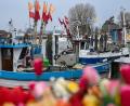 Bild: Ulrich Perrey/dpa
Fischerboote liegen im Hafen von Niendorf an der Ostsee.