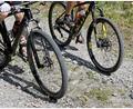 Bild: Jan Woitas/dpa
Beim Mountainbiken hat sich ein 43-Jähriger schwer verletzt. (Symbolbild)