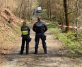 Bild: Berthold Stamm/dpa
In diesem Waldstück wurde der Kopf der getöteten Frau gefunden. (Archivbild)