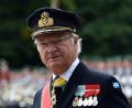 Bild: Rainer Jensen/dpa
König Carl XVI. Gustaf hat sich nach vielen Jahren an seine Rolle als König gewöhnt. (Archivbild)