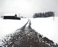 Bild: Karl-Josef Hildenbrand/dpa
Selbst in niedrigeren Lagen im Alpenvorland, wie hier im Allgäu, hatte es in den vergangenen Tagen geschneit. (Archivbild)