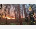 Bild: -/Vigili del Fuoco/dpa
Wegen des Waldbrands haben mehr als 3.500 Menschen ihre Häuser verlassen müssen.