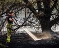 Bild: Rob Engelaar/ANP/dpa
Zur Bekämpfung der Flammen baten die Niederlande nach Angaben der Behörden zum ersten Mal auch andere Länder um Hilfe.