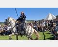 Bild: jua
Hoch zu Ross zieht der edle Ritter in den Kampf.