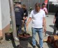 Bild: Konrad Rosner
Das Baumpech wird auf einem Holzofen erhitzt.