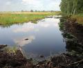 Bild: picture alliance / dpa
Ein intaktes Moor bindet klimaschädlichen Kohlenstoff und schützt somit das Klima. (Archivbild)