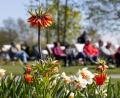 Bild: Michael Reichel/dpa
Zwischen Sonne und Schauern zeigt sich der Frühling wechselhaft. (Archivbild)