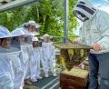 Bild: Stephan Huber
Kindergartenleiterin Linda Hirsch (links hinten) ist genauso fasziniert wie ihre Schützlinge, als Alexander Lotter die Bienenwaben erklärt.