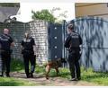 Bild: Bernd Wüstneck/dpa
Neben Goldspürhunden kommen laut LKA auch Bargeldspürhunde und ein Röntgenmobil vom Zoll zum Einsatz.