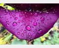 Bild: Julian Stratenschulte/dpa
Wetterumschwung: Es wird regnerisch