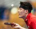 Bild: Soeren Stache/dpa
WM-Medaille als Ziel: Der deutsche Tischtennis-Nationalspieler Dang Qiu.