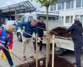 Bild: ass
Frühjahrsputz und Baumpflanzaktion am Amberger Bahnhof. Für das Einpflanzen des Kugelahorns vor dem Bahnhof muss die Prominenz ran (von links): Claudia Gremer (Deutsche Bahn), der ehemalige Oberbürgermeister Michael Cerny, Oberbürgermeister Michael Fritz und der Leiter der Stabsstelle Mobilität, Ulrich Schaller.
