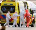 Bild: Peter Dejong/AP/dpa
Untersuchungen auf das Hantavirus laufen noch.