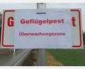 Archivbild: Hösamer
Nach Geflügelpest-Ausbruch: Aktuell gilt eine Schutz- und Überwachungszone im östlichen Landkreis Schwandorf.
