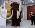 Bild: Rolf Vennenbernd/dpa
Viele Freiwillige haben mitgewirkt.