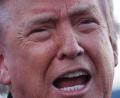 Bild: Mark Schiefelbein/AP/dpa
US-Präsident Trump hat eine Waffenruhe zwischen der Ukraine und Russland verkündet.