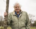 Bild: Aaron Chown/PA Wire/dpa
Der britische Naturforscher und Dokumentarfilmer David Attenborough feiert seinen 100. Geburtstag. (Archivbild)