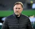 Bild: Swen Pförtner/dpa
Ralph Hasenhüttl trainierte in der Bundesliga Leipzig und Wolfsburg. (Archivbild)
