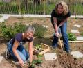 Bild: Robert Dotzauer
Kräuterpädagogin Sabine Maier (li) und Anneliese Weber bei den letzten Pflanzarbeiten vor der offiziellen Eröffnung des neuen Kräutergartens in Oberbibrach.