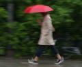 Bild: Malin Wunderlich/dpa
Der Regenschirm wird zum Wochenstart für die Menschen in Bayern unverzichtbar. (Archivbild)