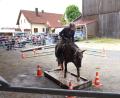Bild: fvo
Der Wassergraben wird souverän gemeistert. Mit Wasser gefüllt und einem Holzdeckel. Sobald Pferd und Reiter darüber reiten, sprudelte das Wasser aus allen Löchern, was für die Pferde gewöhnungsbedürftig ist.