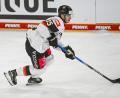 Bild: Armin Weigel/dpa
Stefan Loibl will sich jetzt auf die WM fokussieren. (Archivbild)